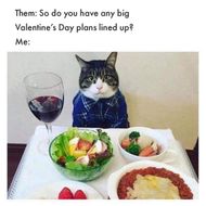 Valentine's Day Memes